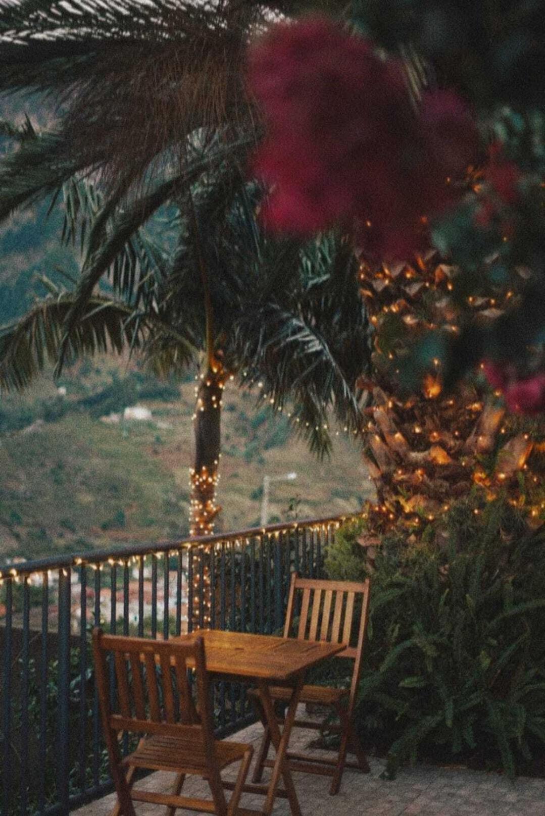 Gardens Guest House São Vicente エクステリア 写真